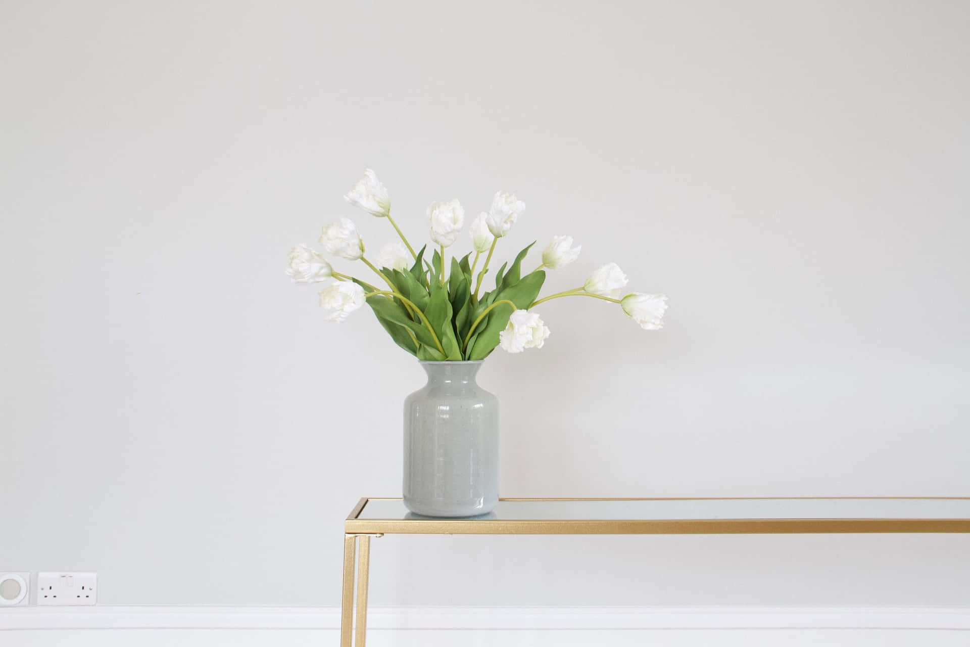 Elegant White Tulipsin Vase Wallpaper