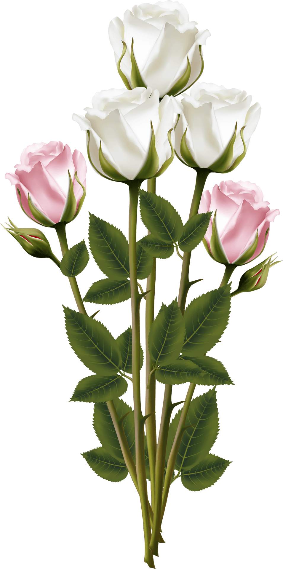 Elegant Whiteand Pink Roses Bouquet PNG