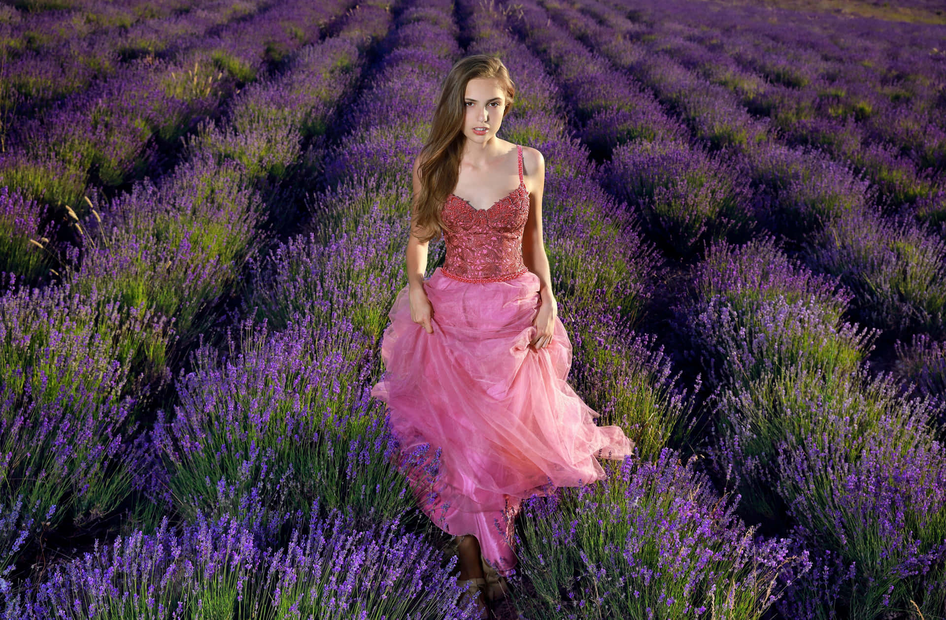 Elegant Womanin Lavender Field.jpg Wallpaper