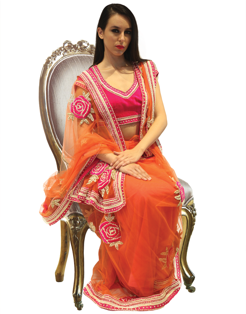 Elegant Womanin Orange Saree PNG