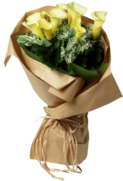 Elegant Yellow Calla Lilies Bouquet PNG