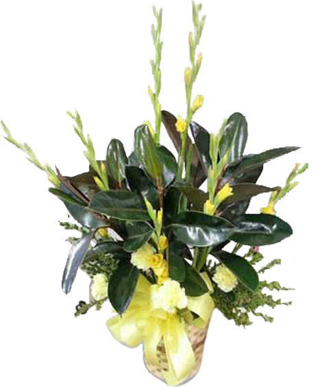 Elegant Yellow Gladiolus Arrangement PNG