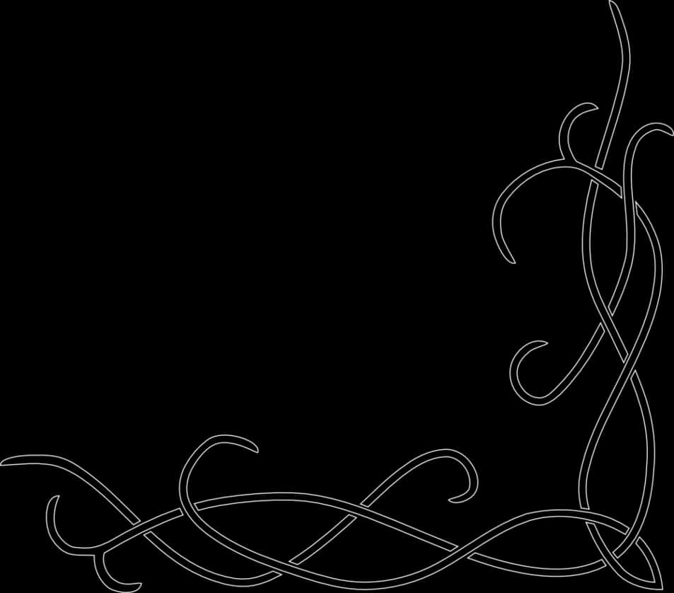 Elegant_ Floral_ Border_ Design PNG