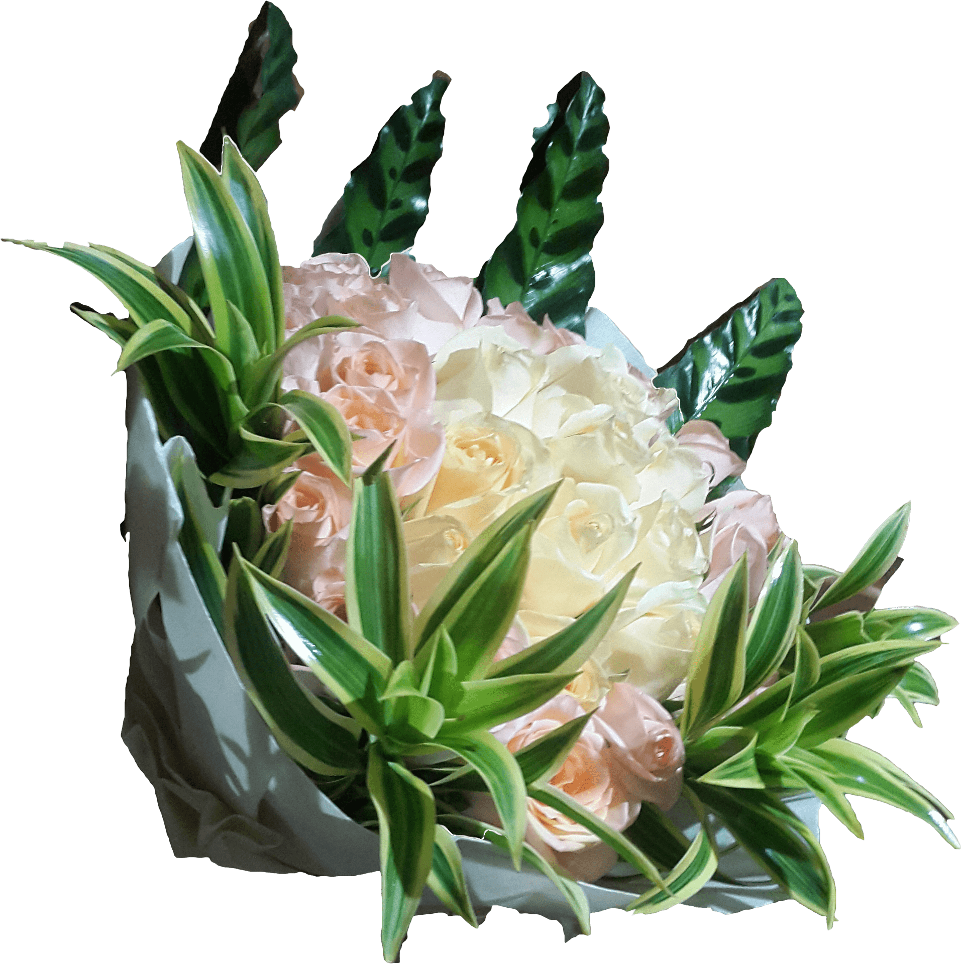 Elegant_ Pastel_ Rose_ Bouquet.png PNG
