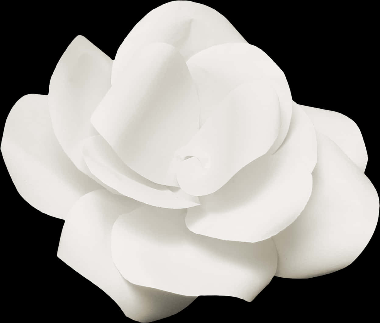 Elegant_ White_ Flower_ Black_ Background.jpg PNG