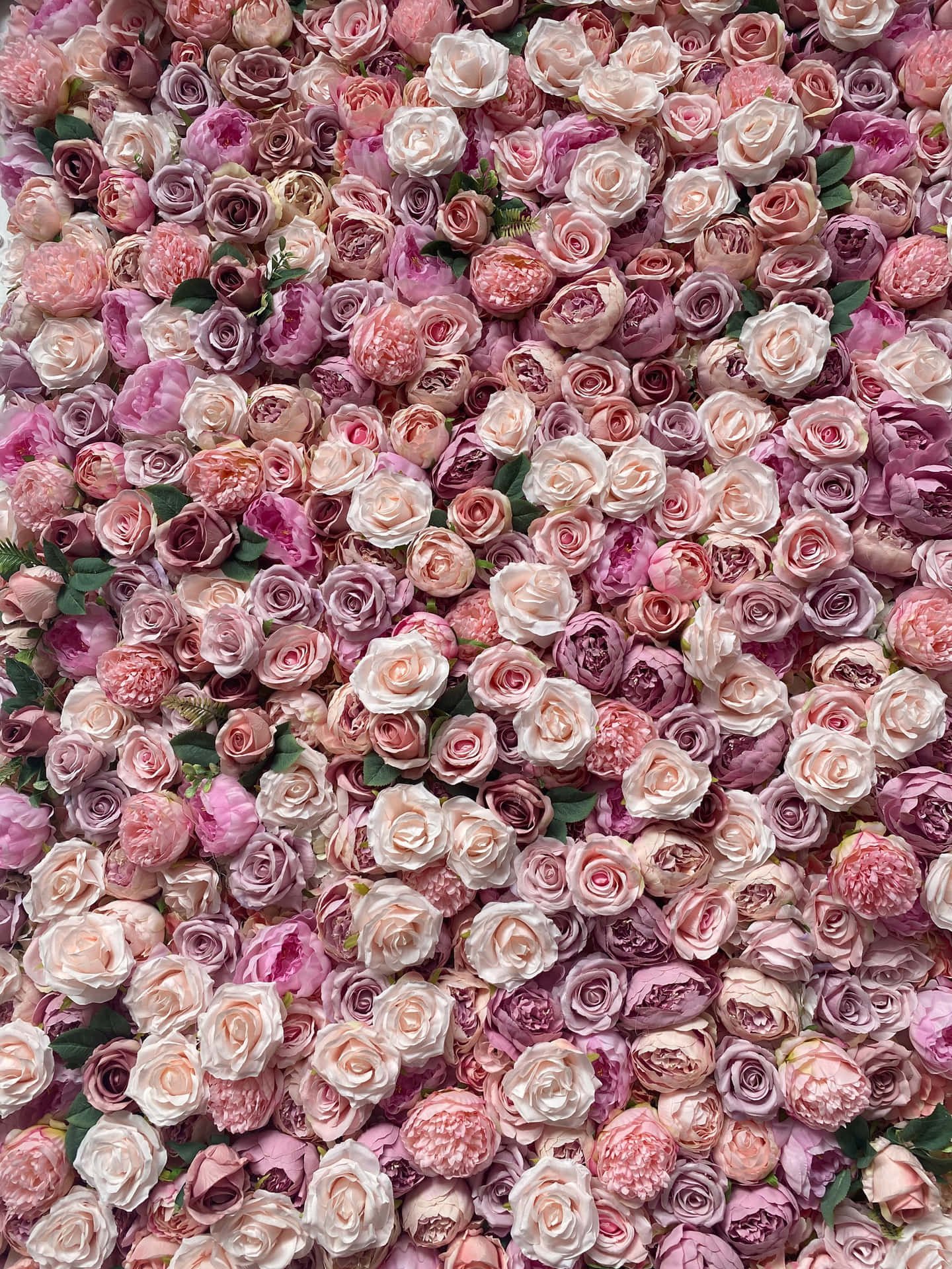 Elegantefondo De Pantalla Rosa