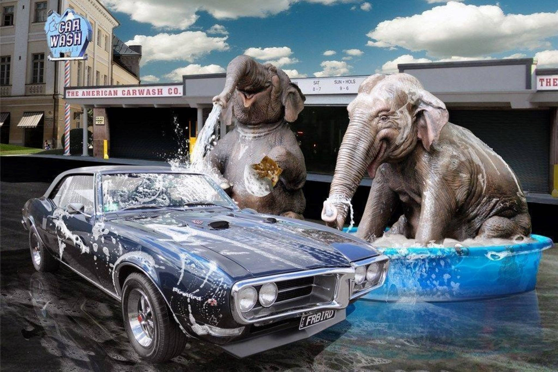 Elephant Car Wash 3D Art Wallpaper