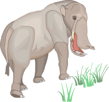 Elephant Grass Illustration PNG
