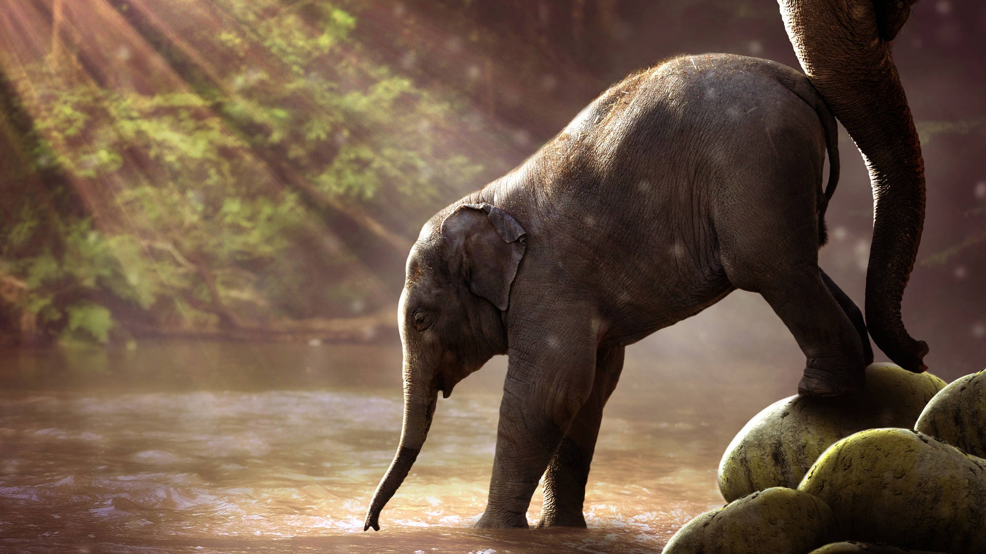 Enelefant Står Mot Den Vackra Afrikanska Himlen. Wallpaper