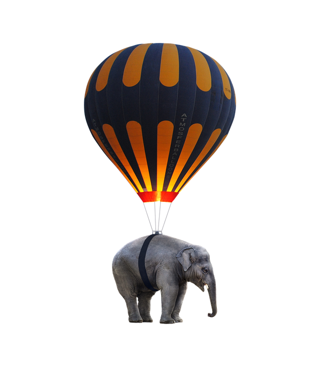 Elephant Hot Air Balloon Hybrid PNG