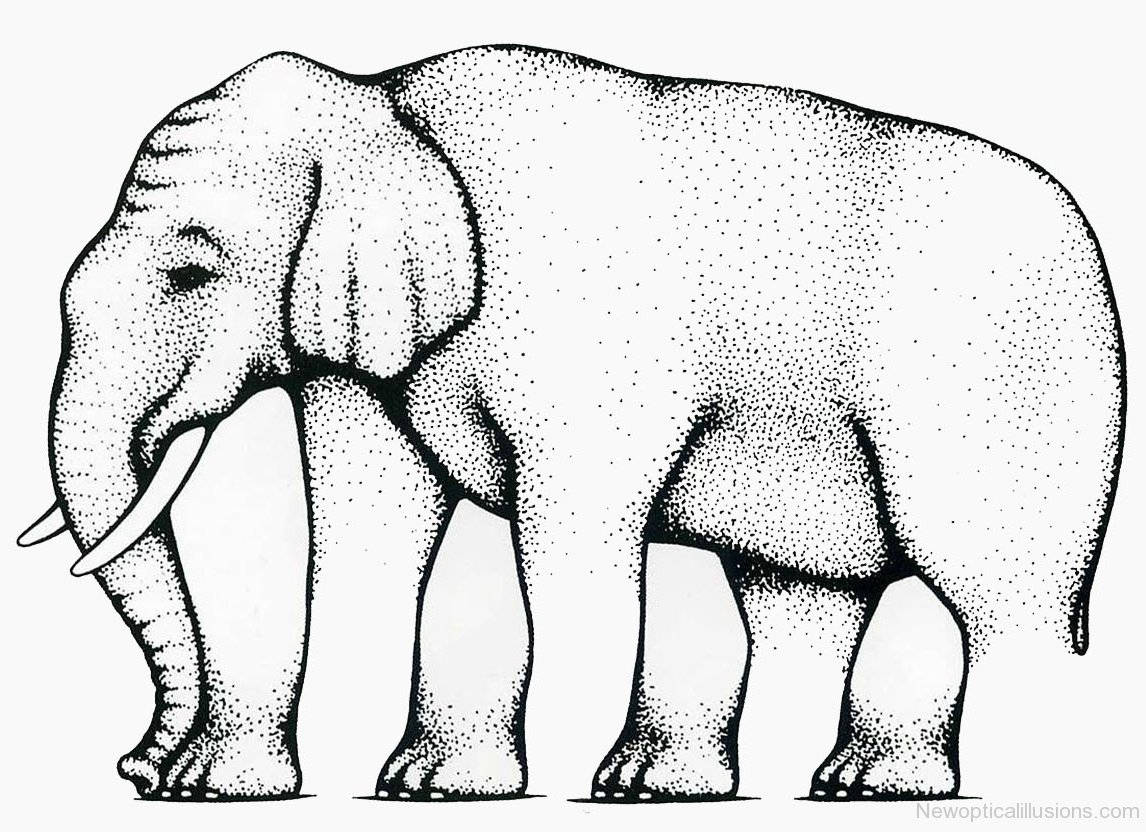 Elephant Illustration With Ambiguous Legs Wallpaper