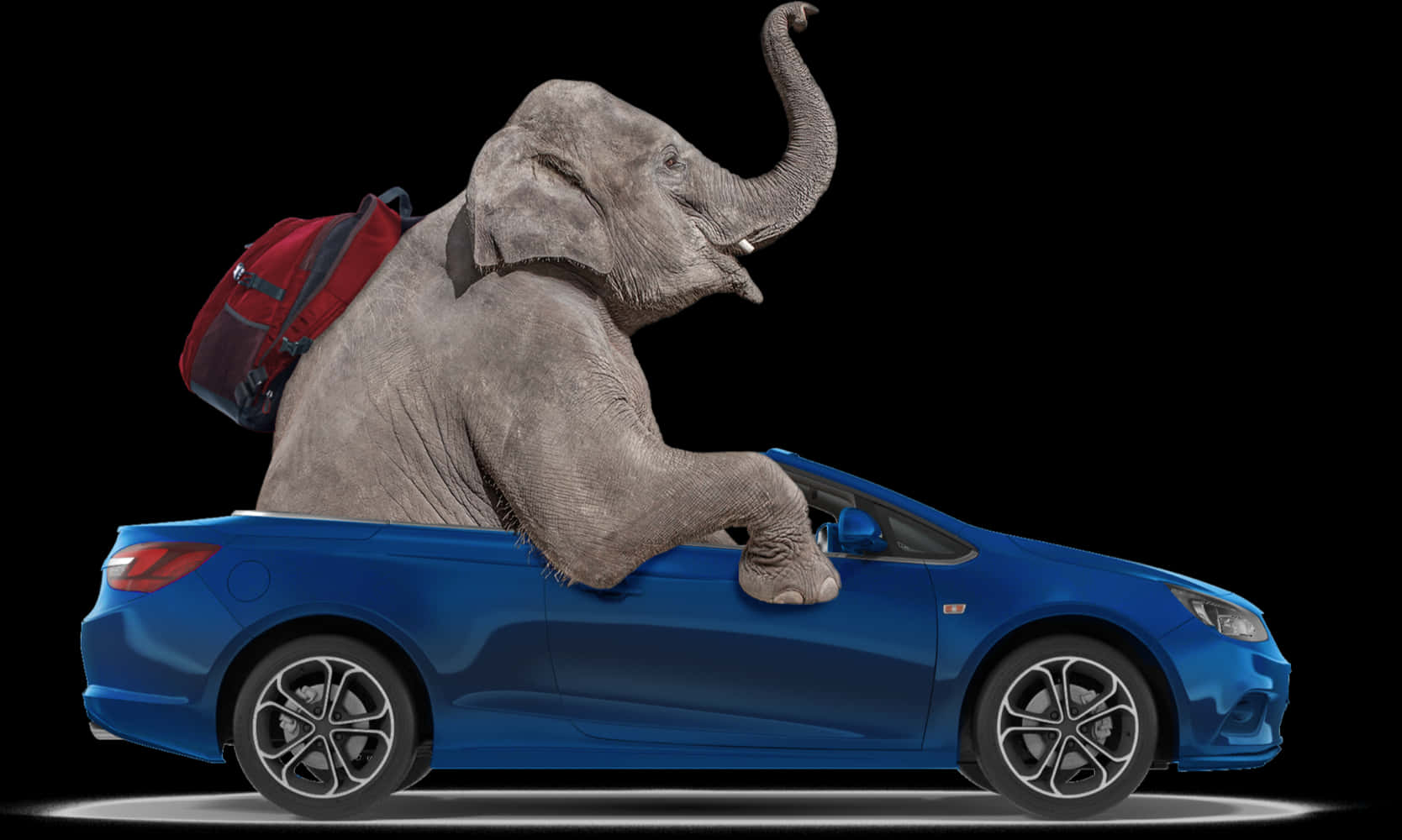 Elephant In Convertible Car PNG