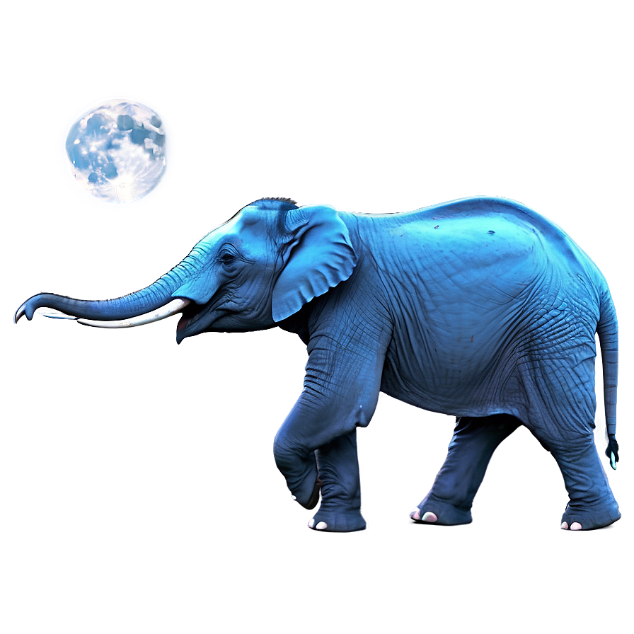 Elephant In Full Moon Night Png 38 PNG