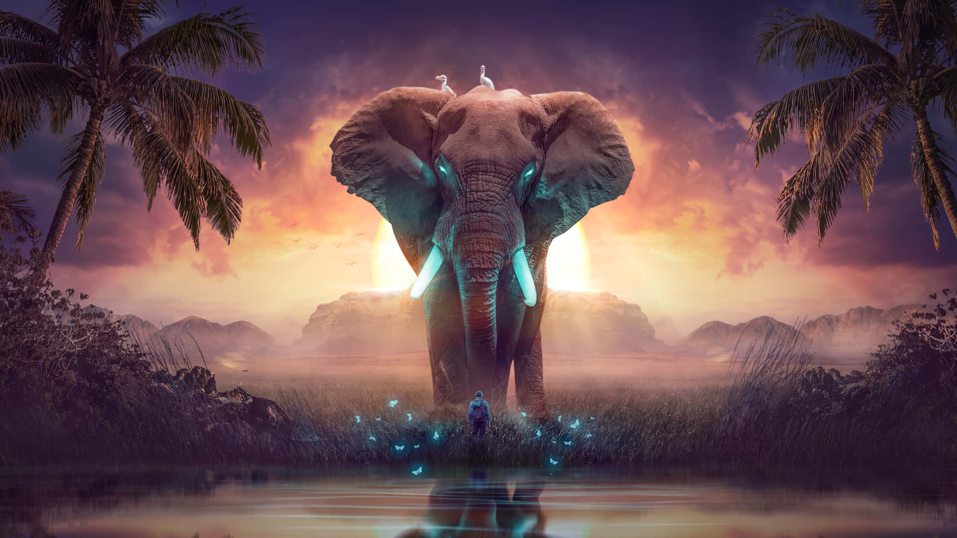 Einneugieriger Elefant Späht Hinter Einem Laptop Hervor. Wallpaper