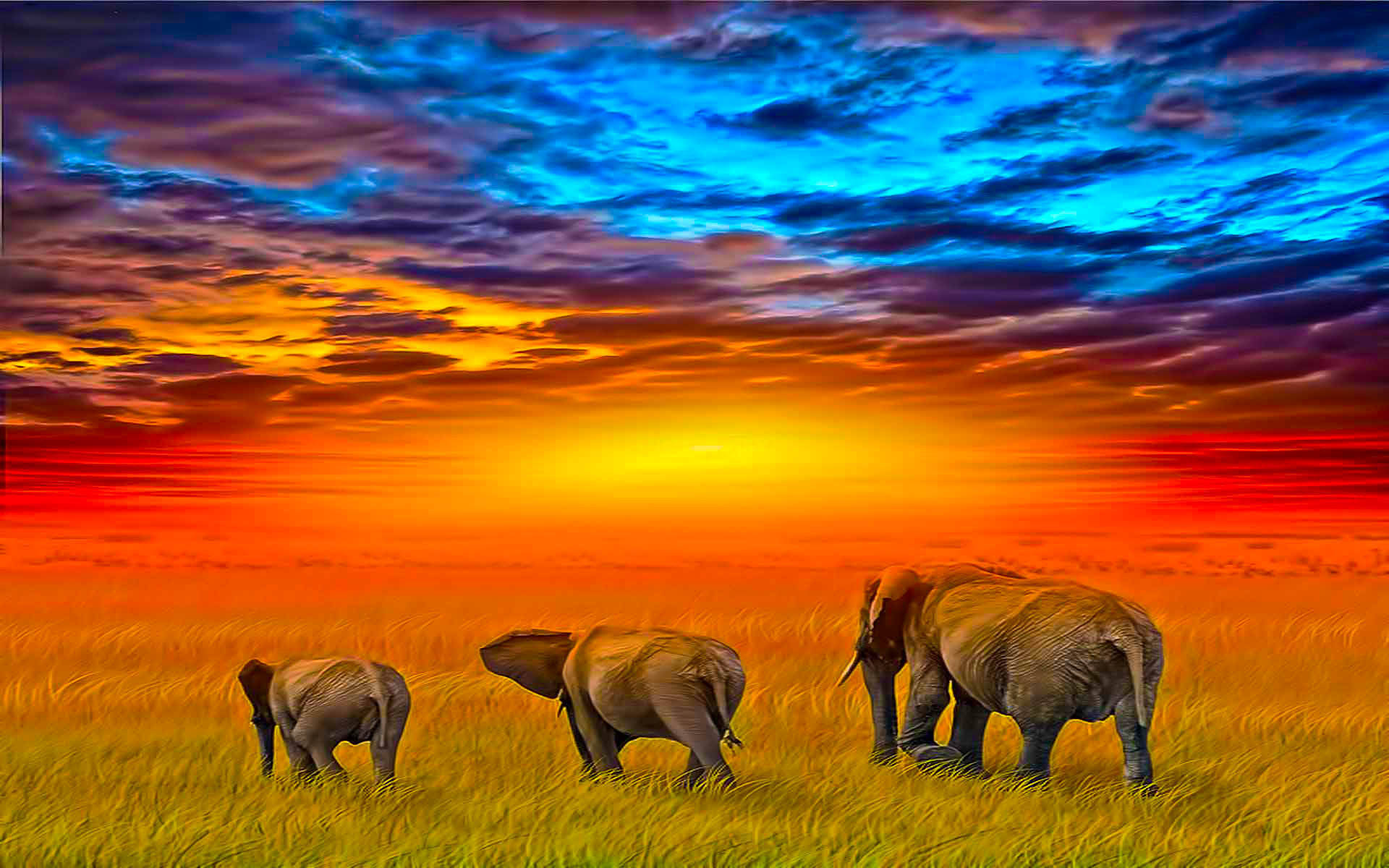 Elephants In Africa Digital Art Background