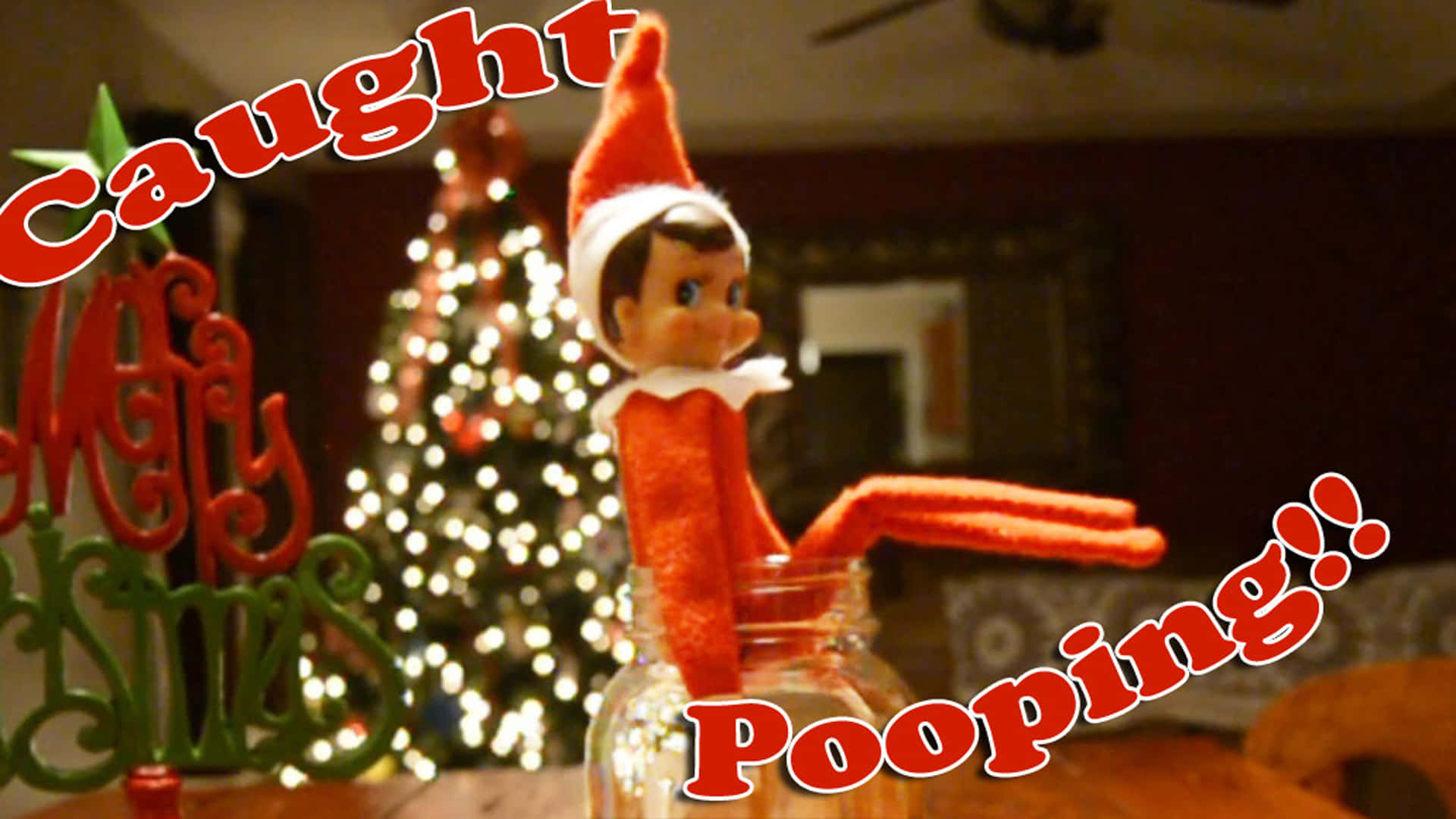 Celebrate the Christmas season with Elf on the Shelf!