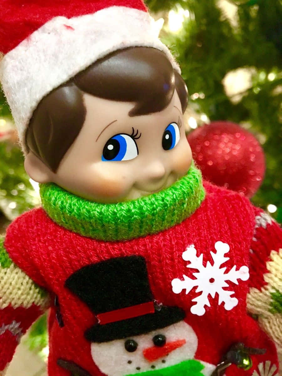 Cute Elf On The Shelf Picture