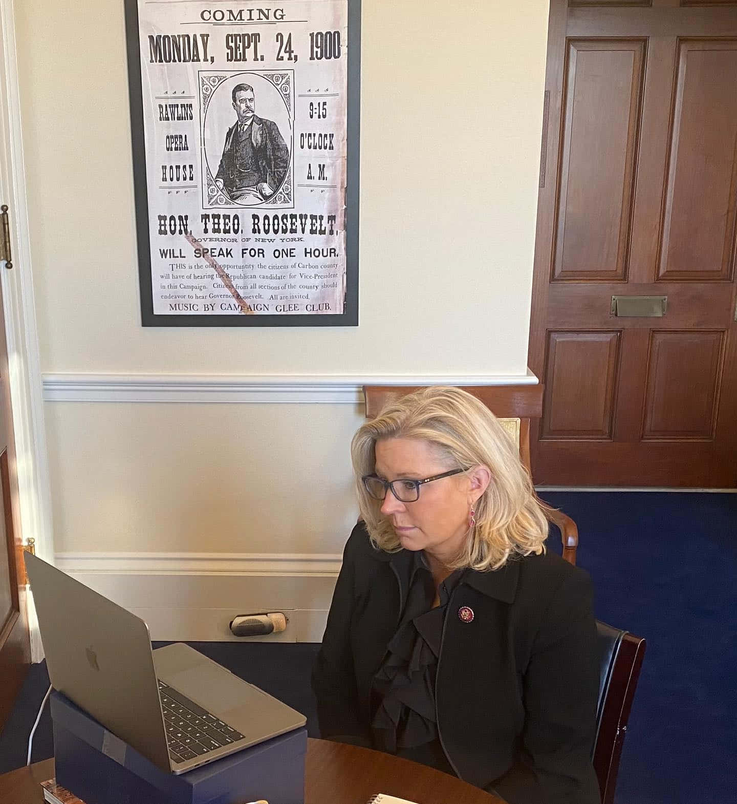 Elizabeth Cheney Looking At Laptop Wallpaper