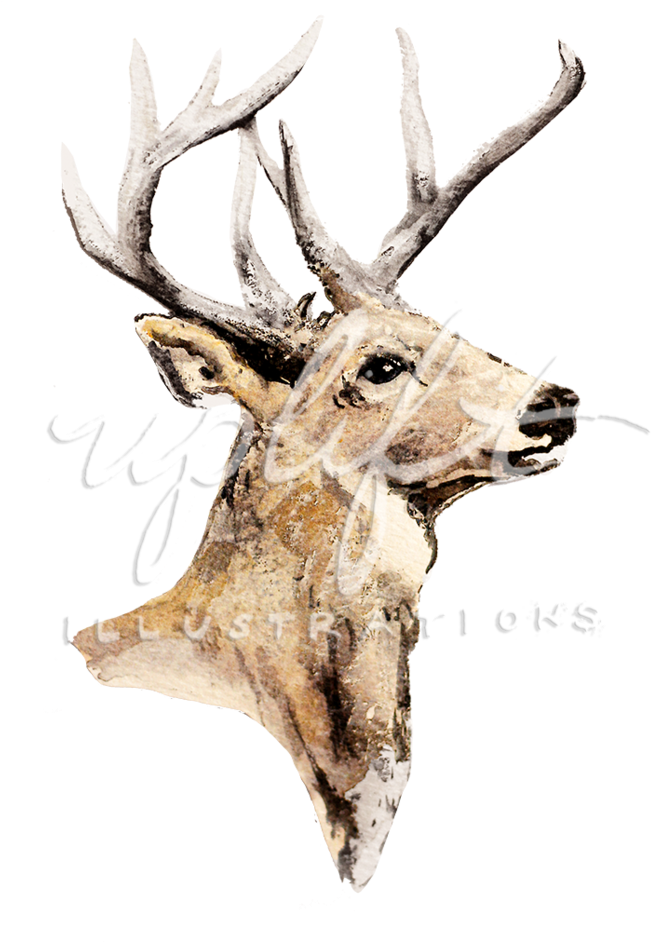 Elk Illustration Artwork PNG