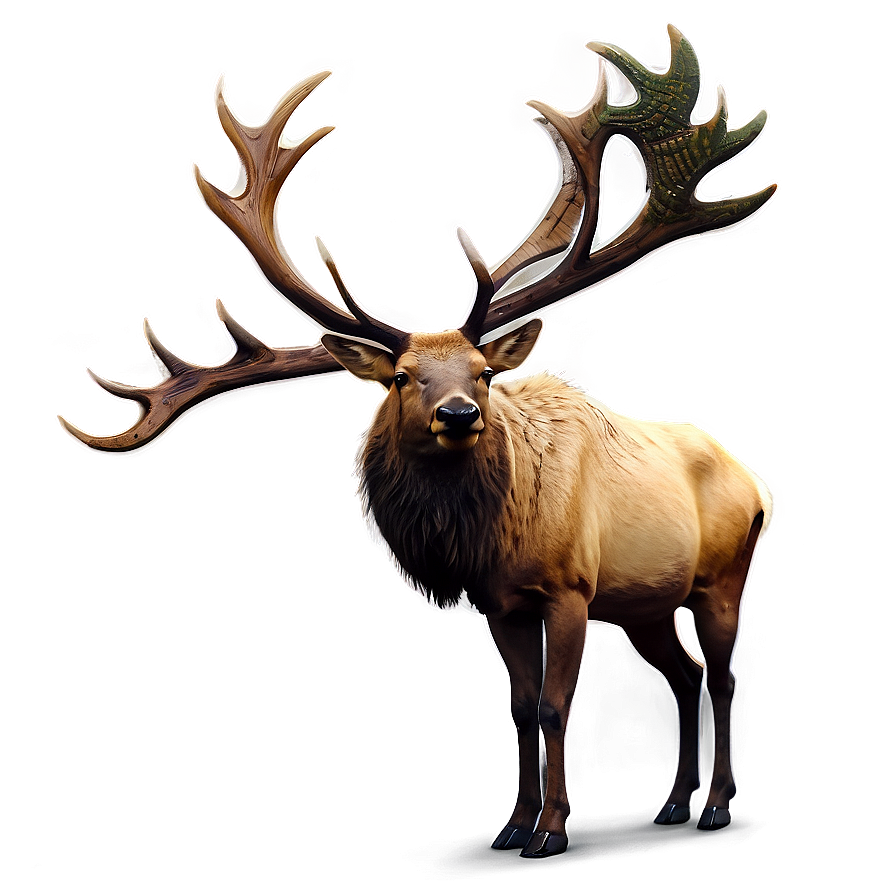 Download Elk Illustration Png 05242024 | Wallpapers.com