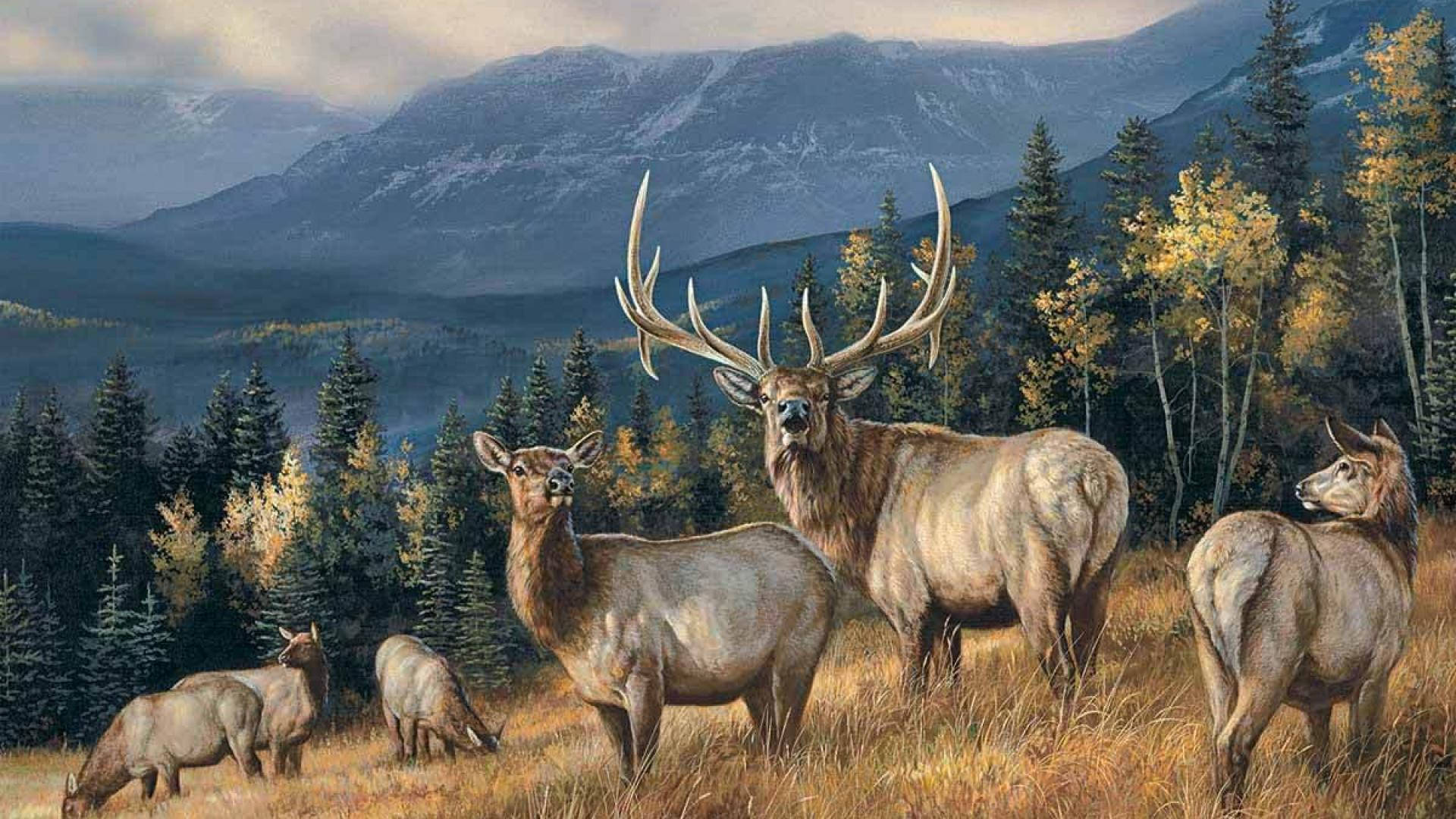 Elk Realistic Painting Wallpaper