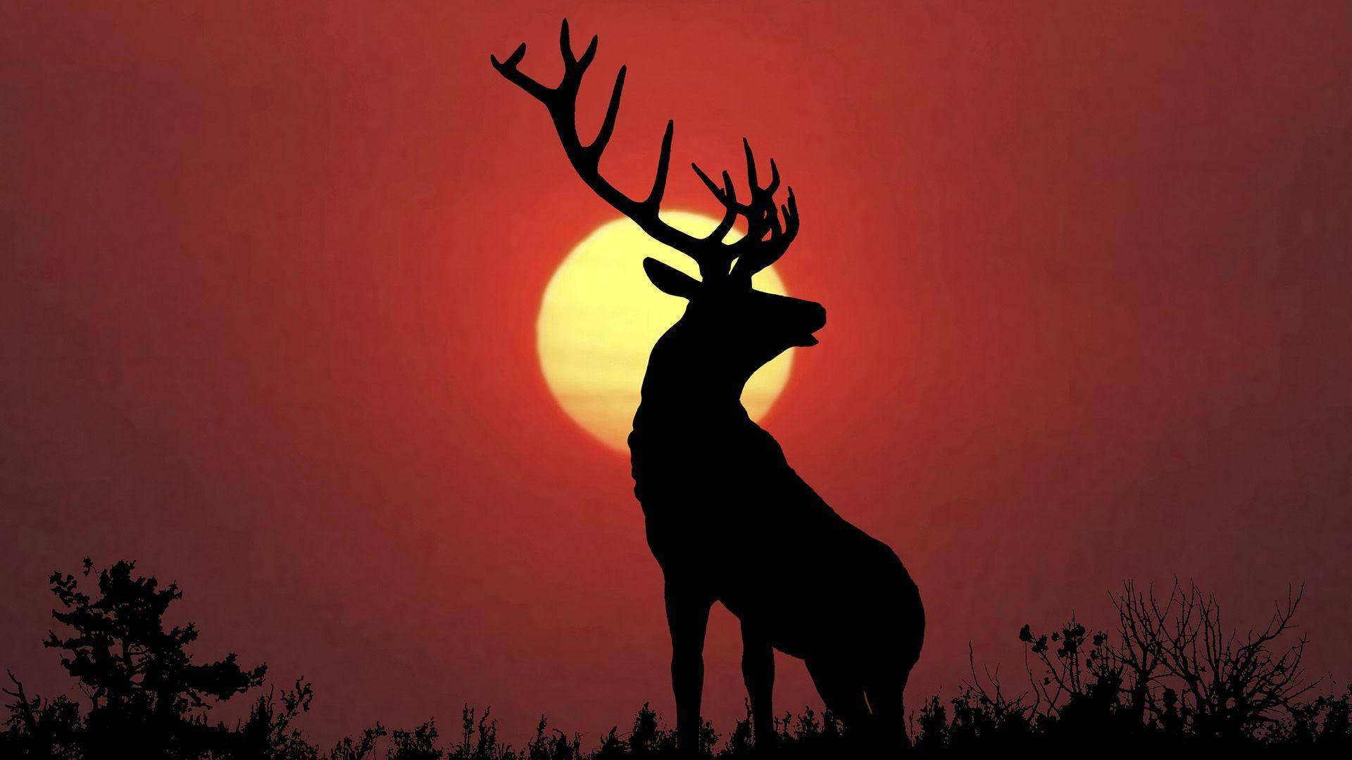 Elk Red Sky Wallpaper