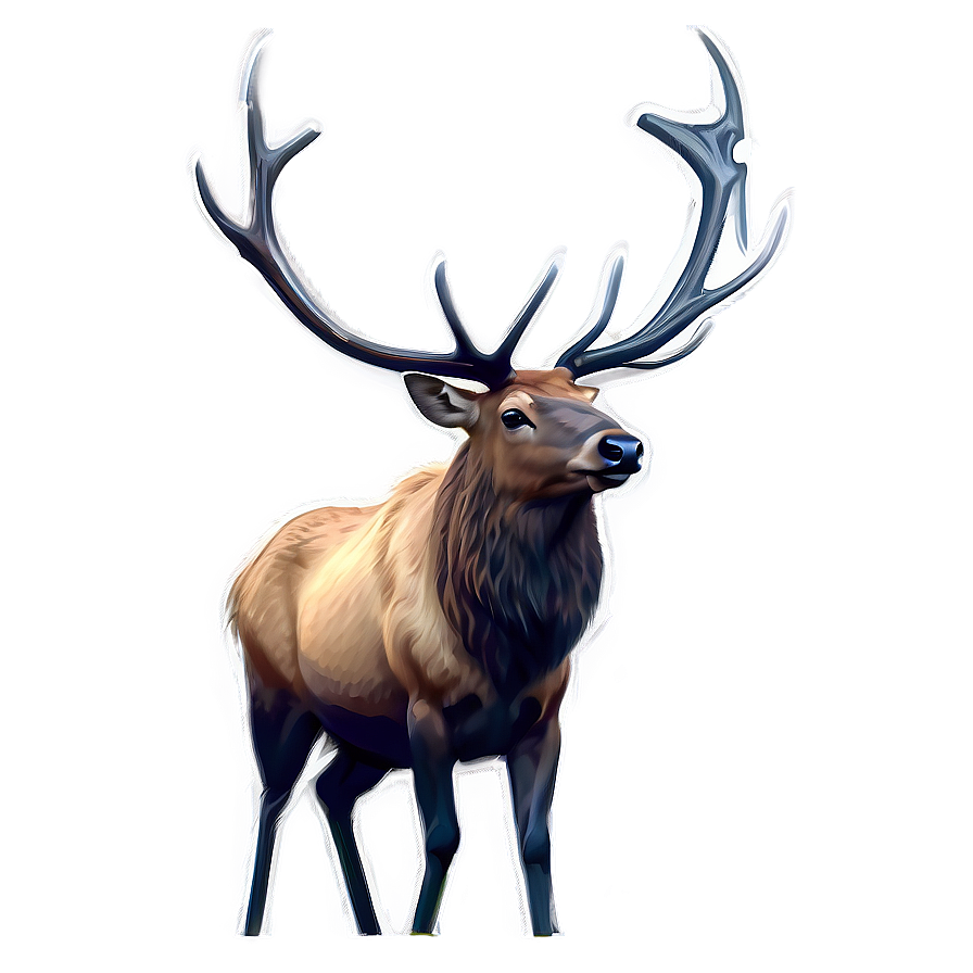 Download Elk Sketch Png 70 | Wallpapers.com