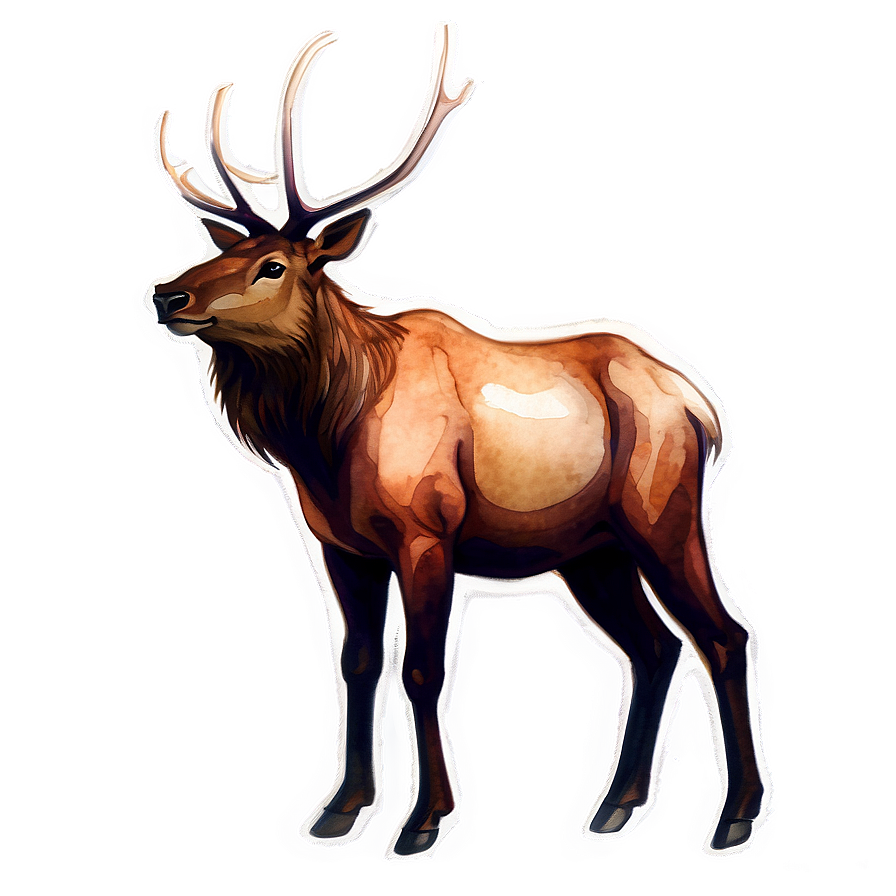 Download Elk Watercolor Png 05242024 | Wallpapers.com