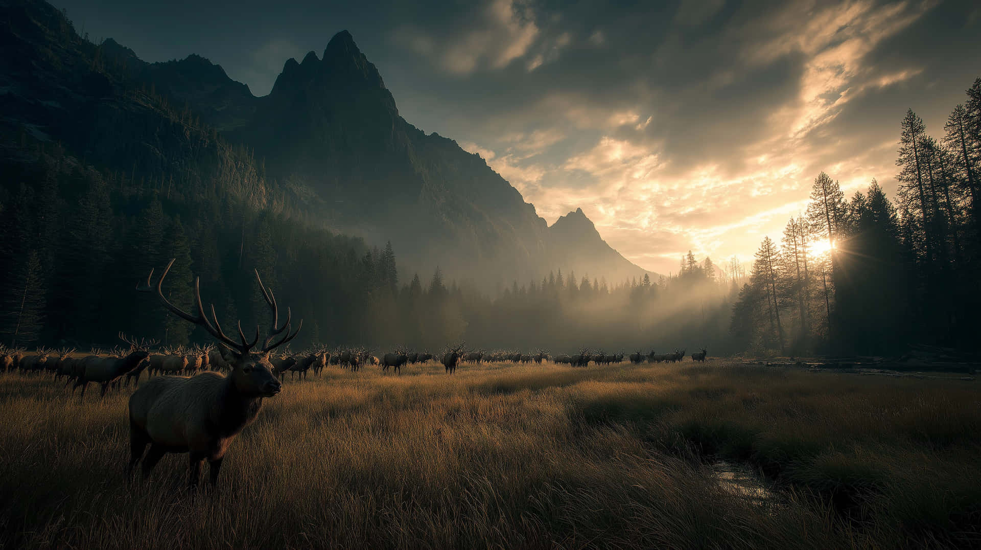 Elks In Fog Wallpaper