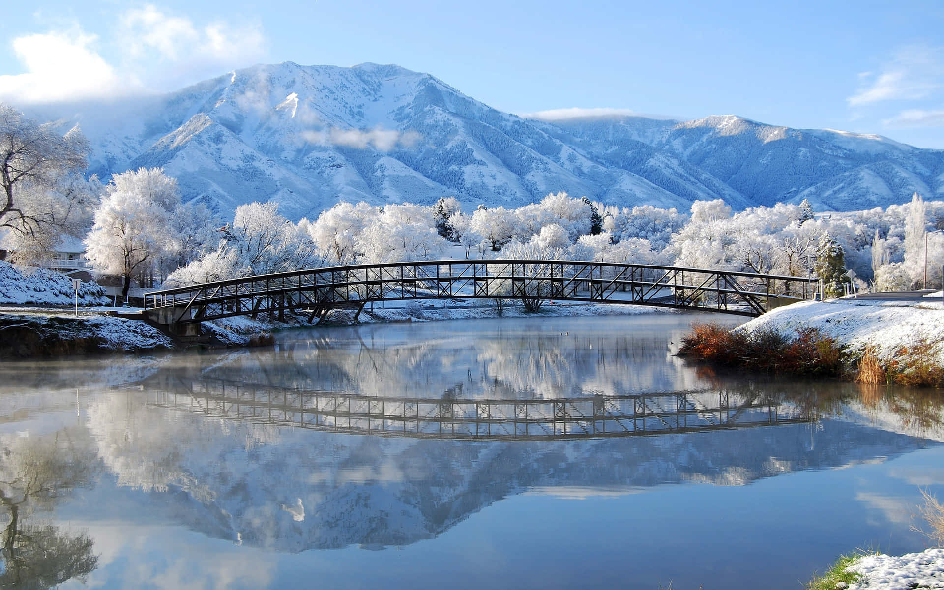 Elmejor Fondo De Invierno.