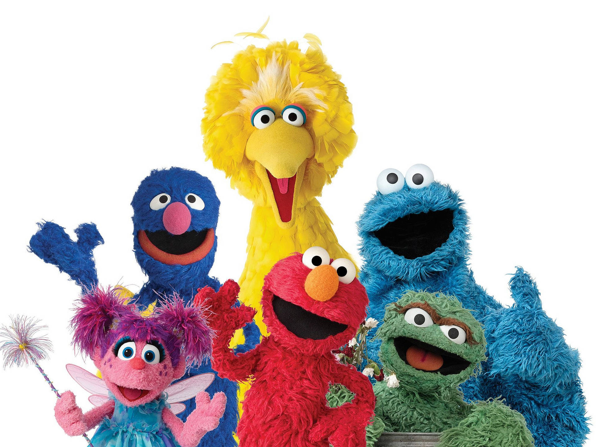 Elmo And His Friends