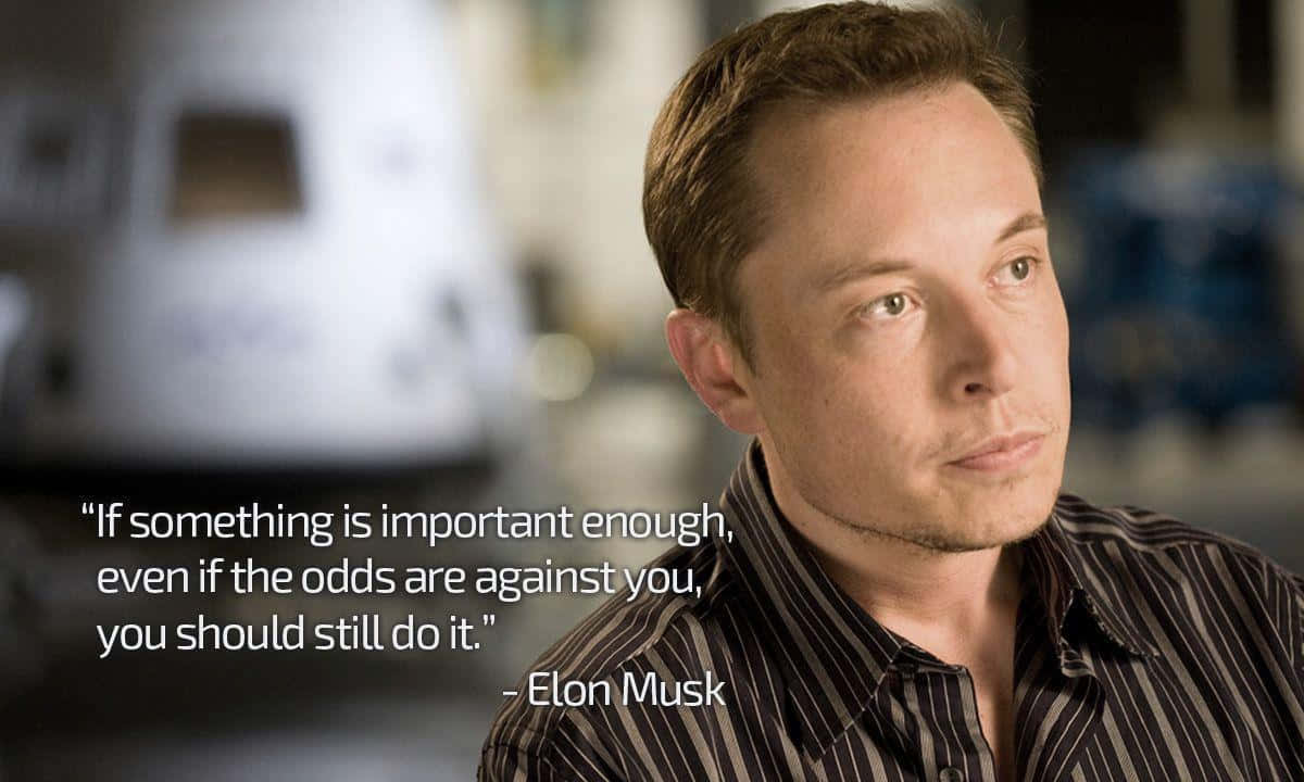 Elon Musk, the daring entrepreneur
