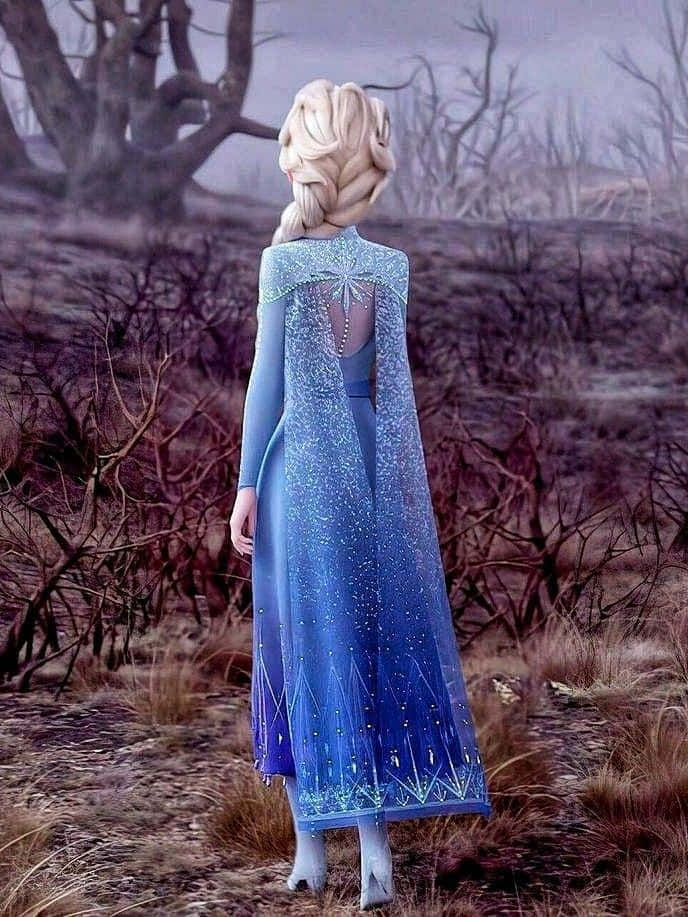 Elsa Stands On A Cliff And Watches The Northern Lights Above Her