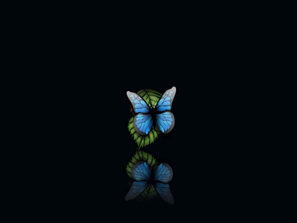 Elusive Blue Butterfly Wallpaper
