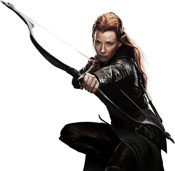 Elven Archer Readyfor Battle PNG