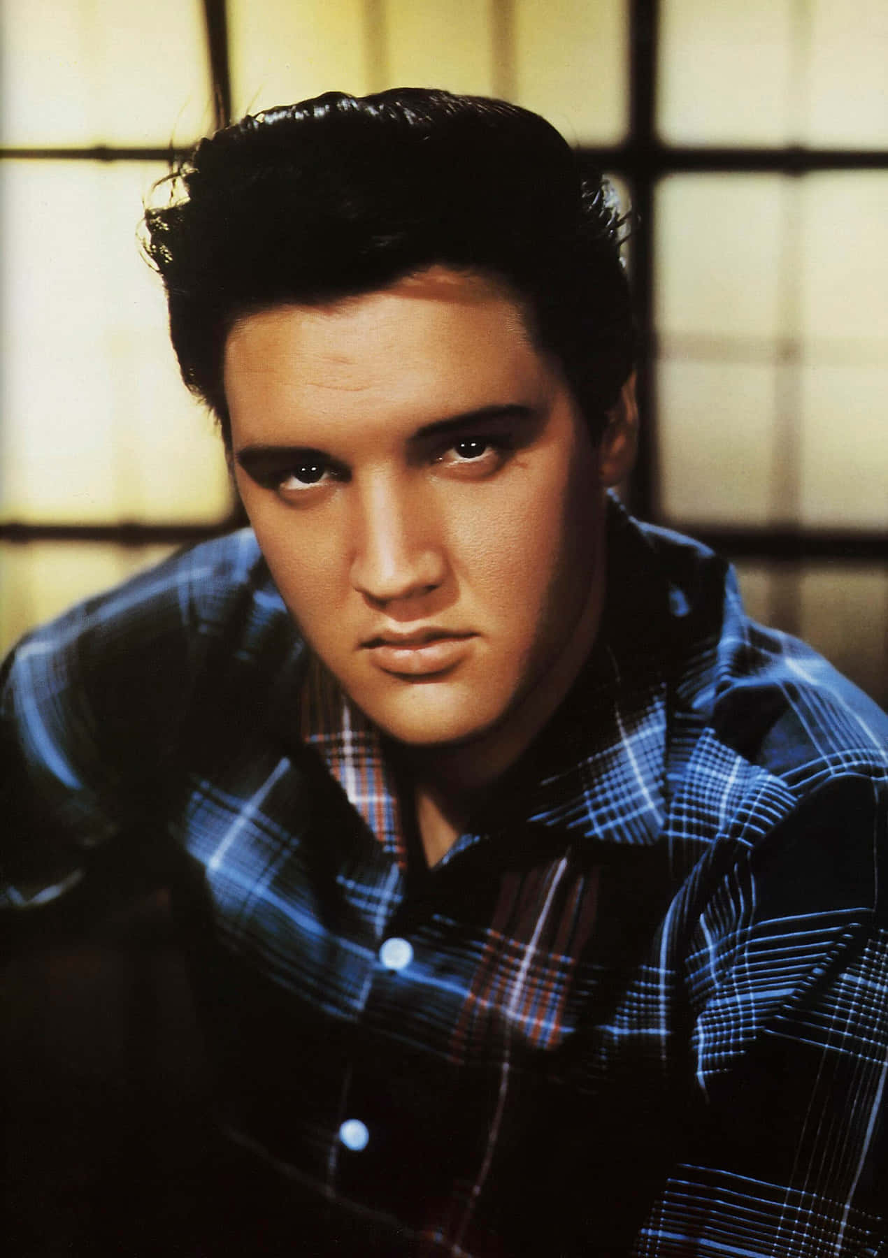 Bildhyllning Till Elvis Presley - Rockens Kung