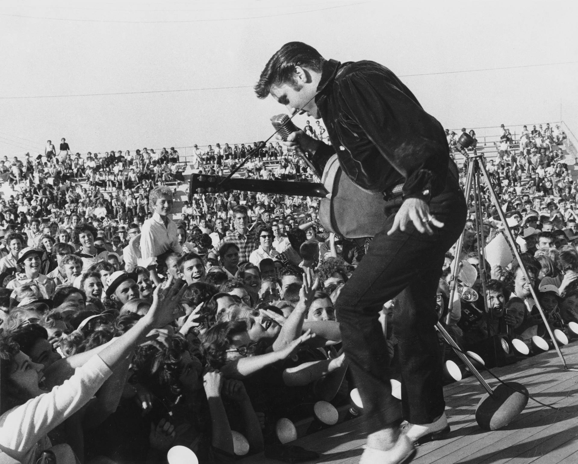 Elvis Presley Concert Wallpaper