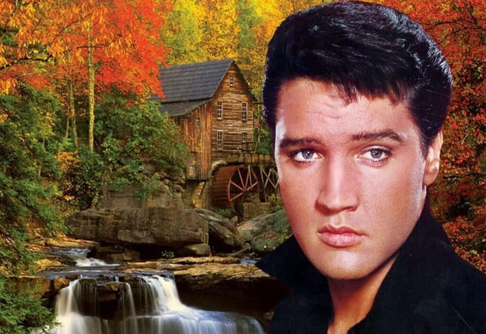 Ikonsangerog Skuespiller Elvis Presley.