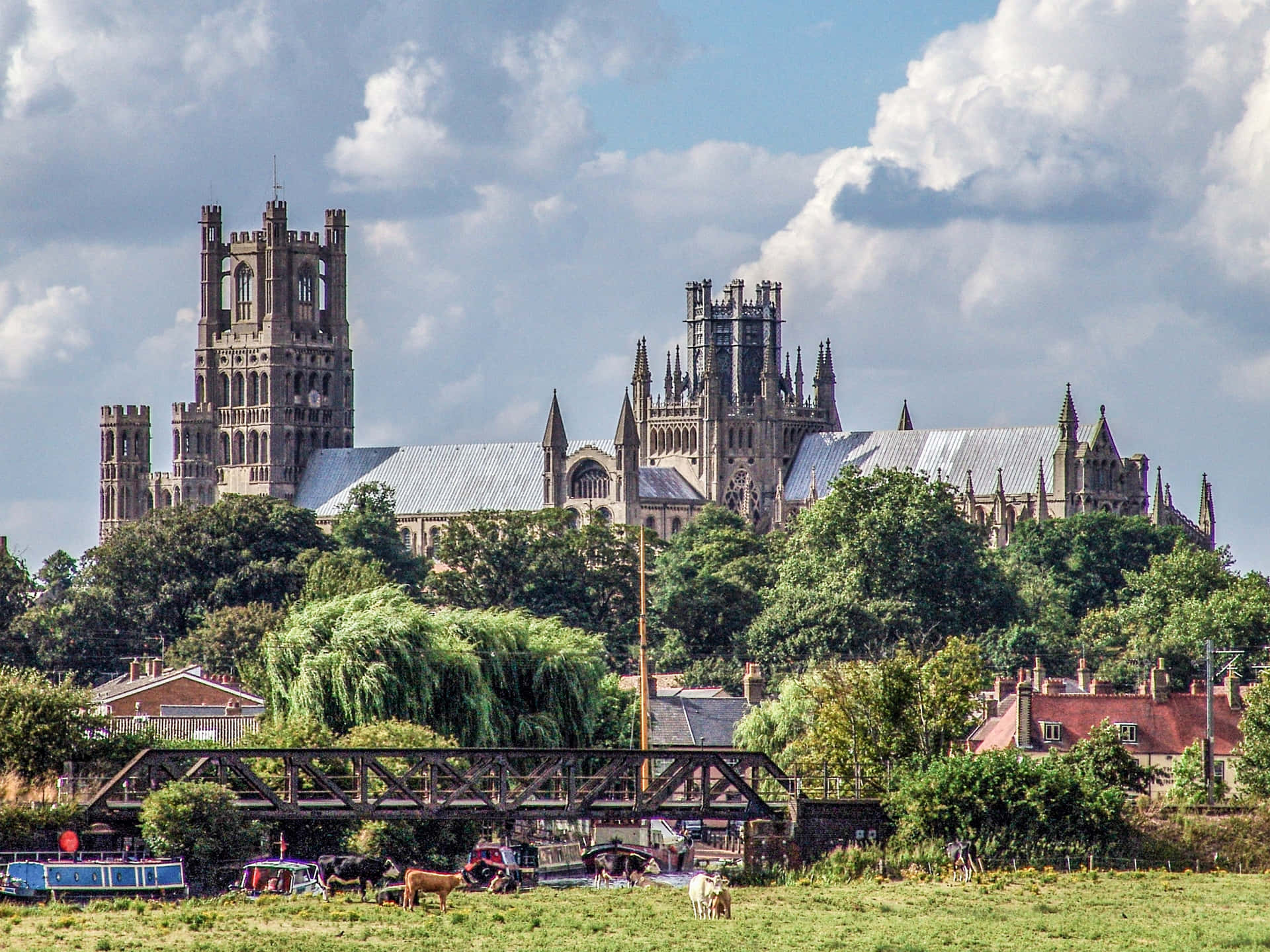 Ely Cathedral Overlooking Meadow Wallpaper