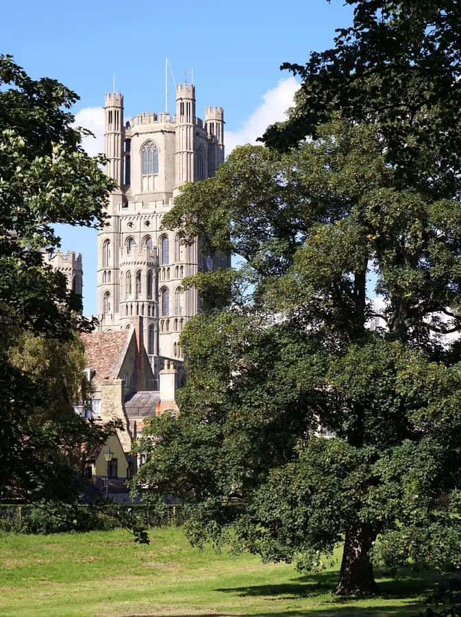 Ely Cathedral Towers Through Trees Wallpaper
