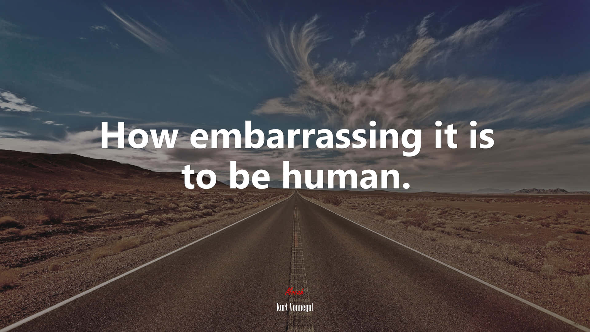 Embarrassing Human Quote Desert Road Wallpaper