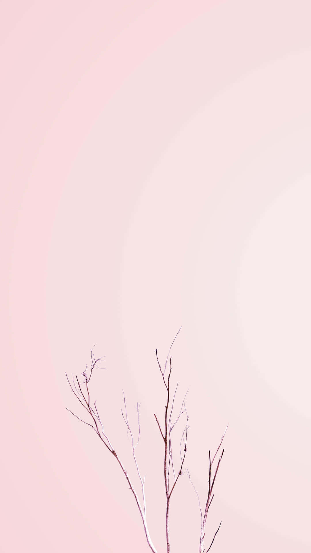 Embrace Simplicity With Pastel Minimalistic Background