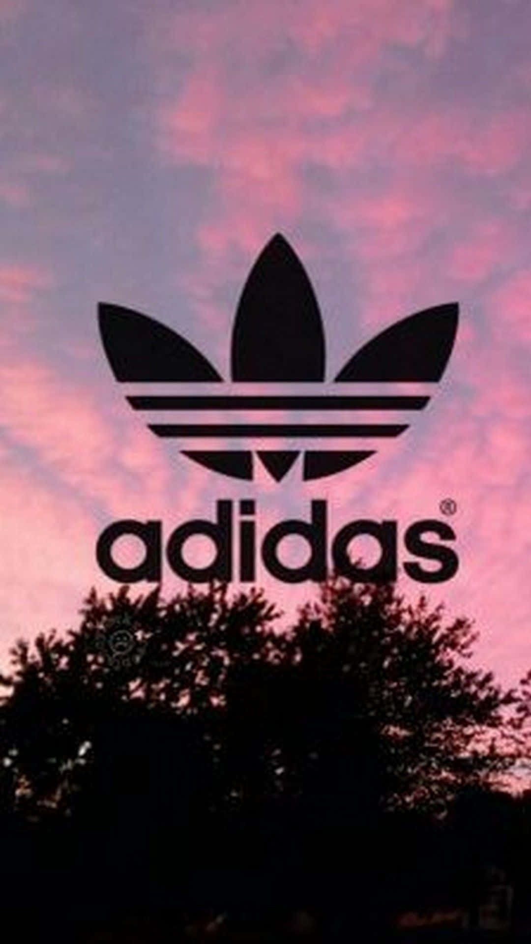 Embrace The Sporty Spirit With Adidas