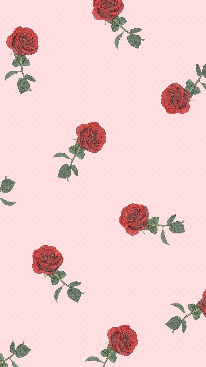 Embracing The Soft Hue - A Journey Through Pastel Red Aesthetics Wallpaper
