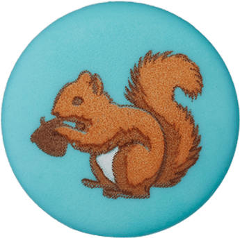 Embroidered Squirrel With Acorn PNG