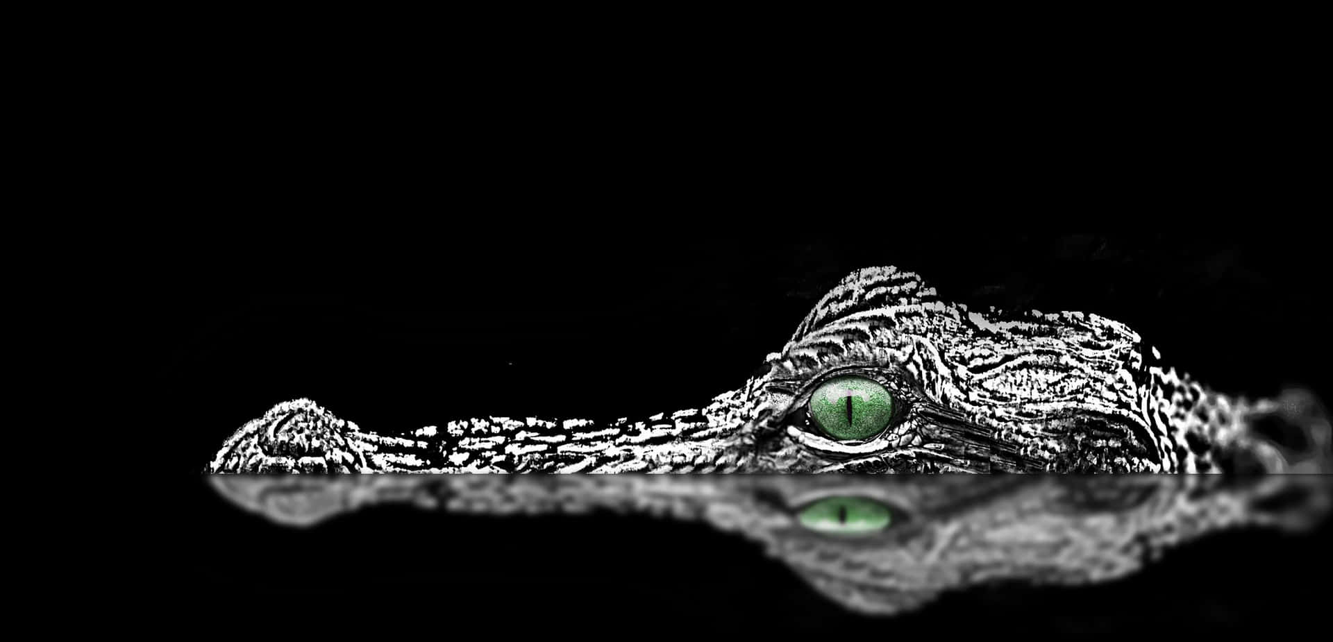 Emerald Eyed Crocodile Peering From Darkness.jpg Wallpaper