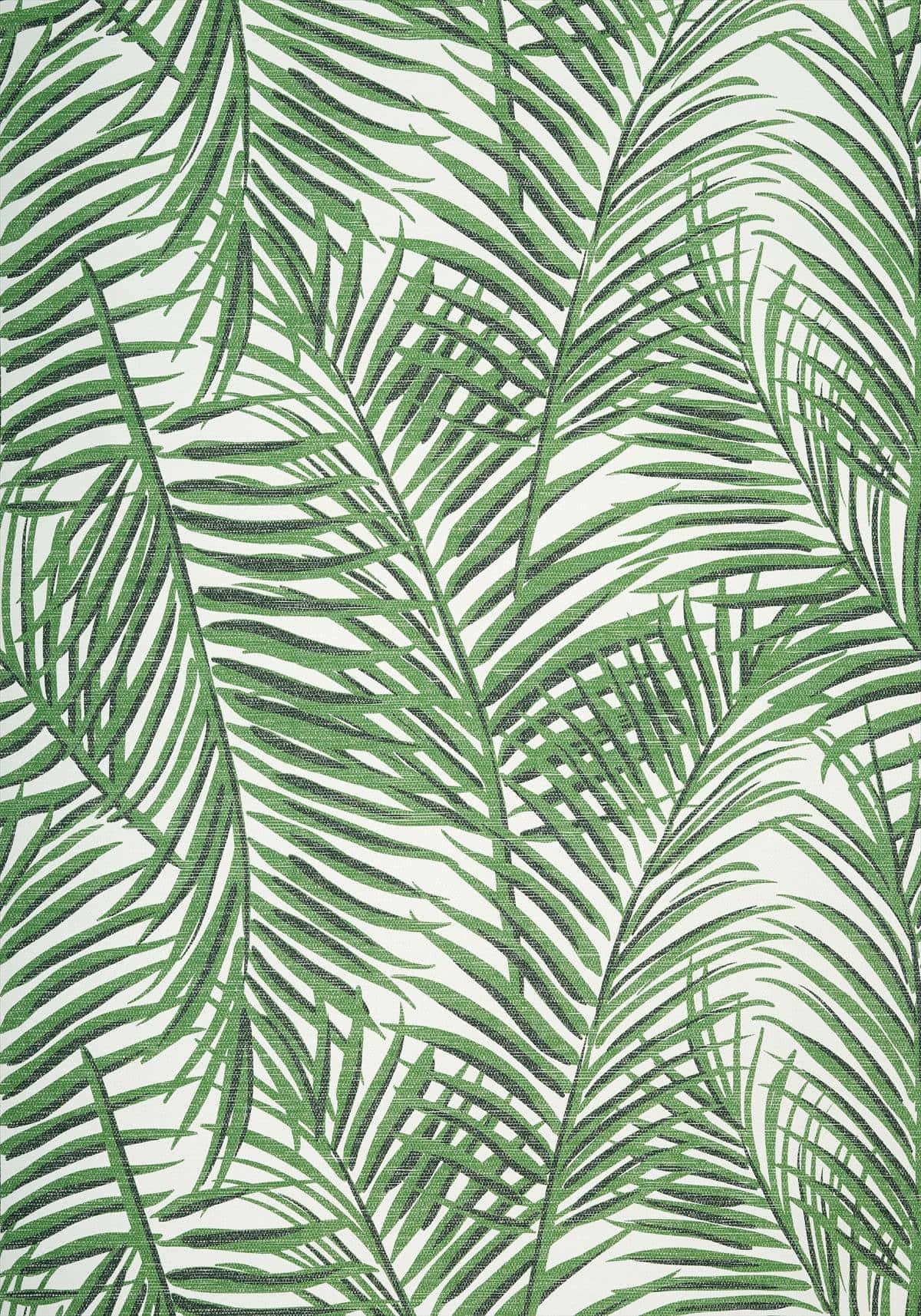 A Green And White Palm Leaf Wallpaper