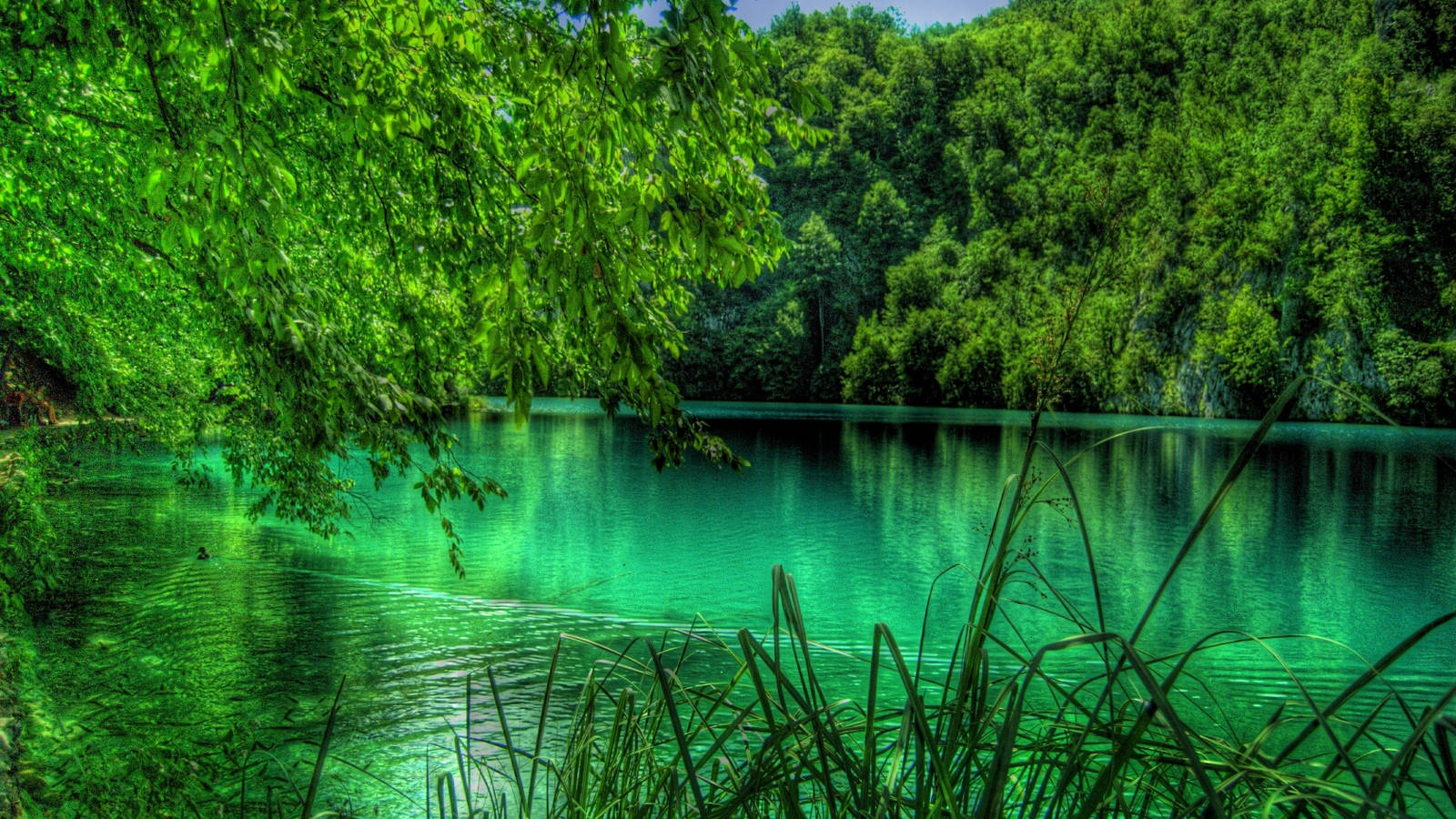 Free Emerald Green Wallpaper Downloads, [100+] Emerald Green Wallpapers for  FREE 