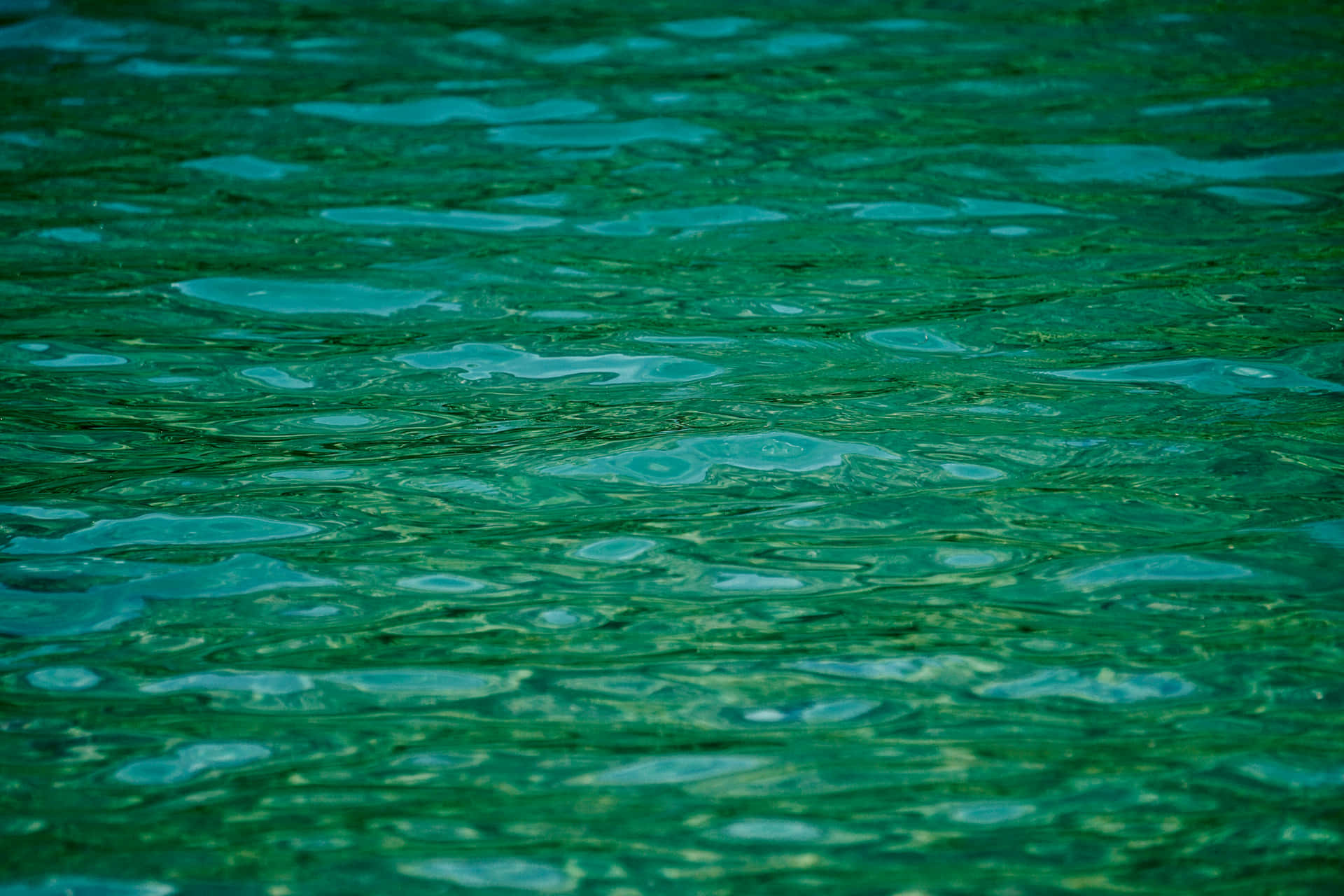 Emerald Water Ripples Wallpaper