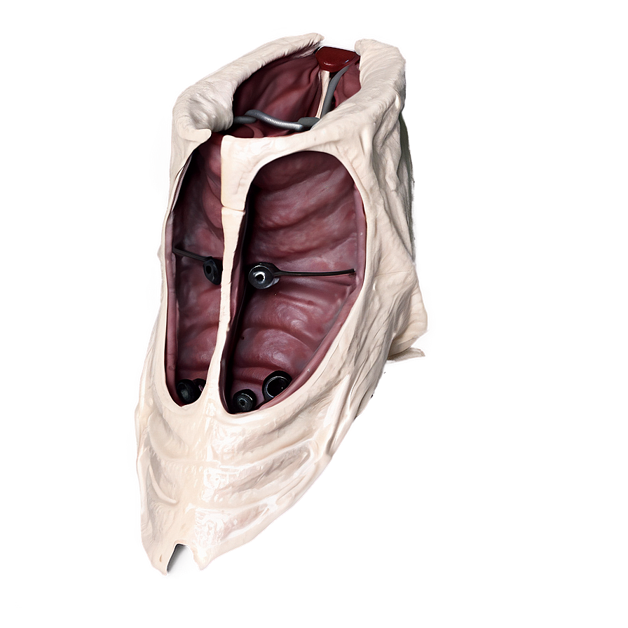 Emergency Cricothyrotomy Png Thg PNG